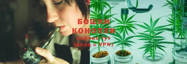 дживик Каменногорск