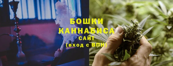 дживик Каменногорск