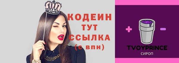 дживик Каменногорск