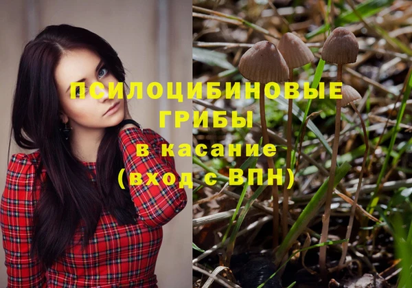 дживик Каменногорск