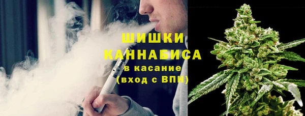 дживик Каменногорск