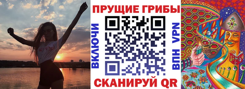 Псилоцибиновые грибы Psilocybe  Купить где  Куртамыш 